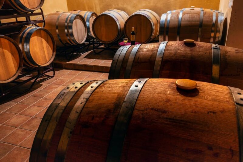 From Villa De Leyva: Vineyard Tour - Culinary and Cultural Insights