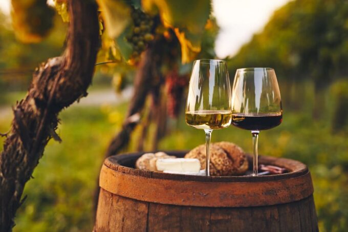 From Villa De Leyva: Vineyard Tour - Scenic Drive Through Andean Countryside