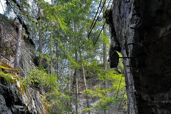 From Vilnius: Private Day Tour to Wolfs Liar (Hitlers Bunker) - Whats Included