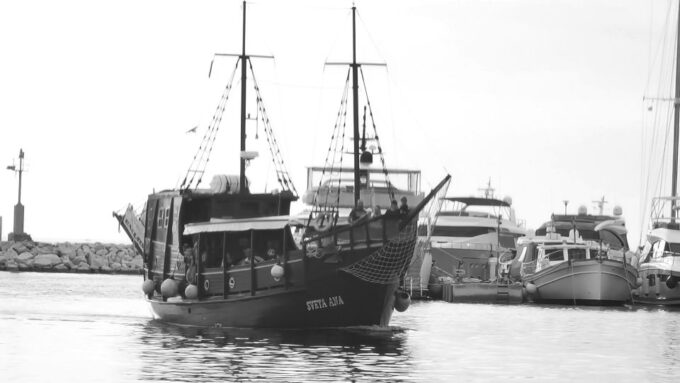 From Vrsar: Boat Trip to Rovinj and Lim Fjord - Frequently Asked Questions