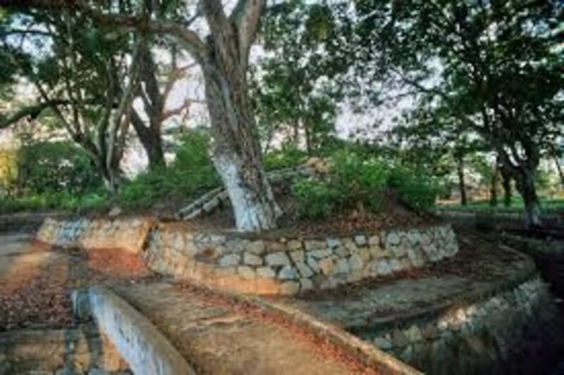 From Vung Tau: Nui Dat, Long Tan Private Tour - Significant Sites