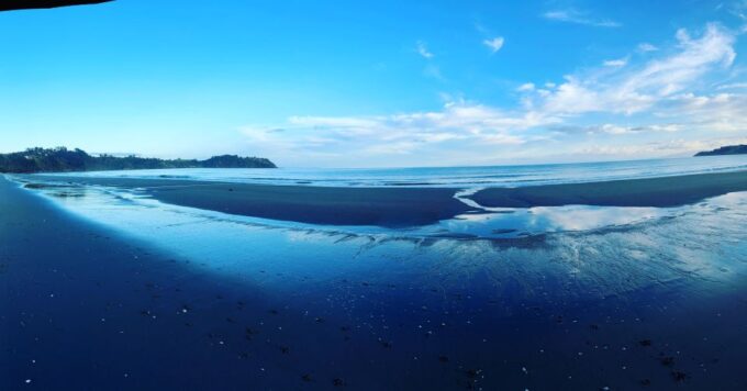 From Waiheke: Waiheke Island Tour W/ Wine and Food Tastings - Recap