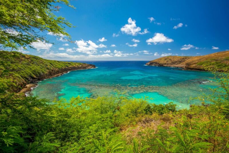 From Waikiki: Best of Oahu Photo Tour With Pickup - Photography Experience