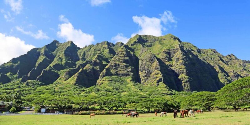 From Waikiki: Circle Island Tour - Experience Highlights