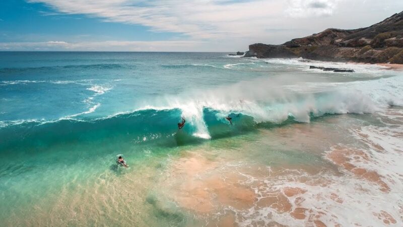 From Waikiki: Circle Island Tour - Tour Inclusions