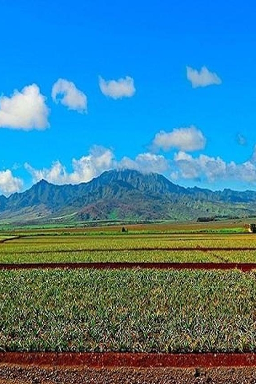 From Waikiki: Oahu Grand Circle Island Experience - What to Bring