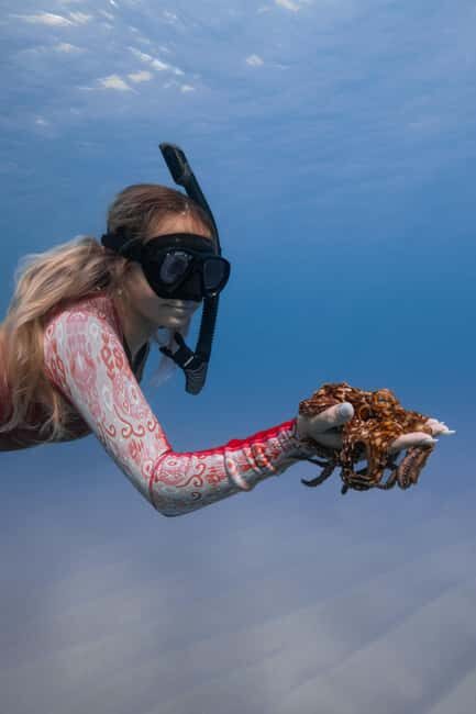 From Waikiki: Turtle Canyon Snorkeling Tour - Final Thoughts: Who Should Sign Up?