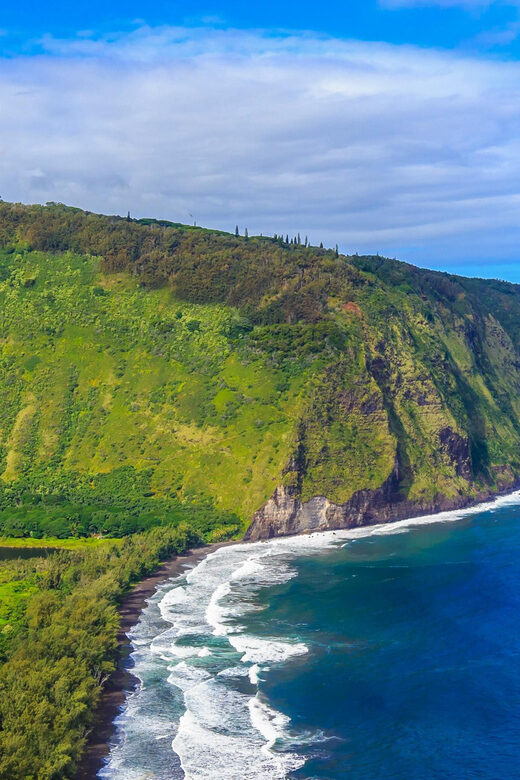 From Waikoloa: Kohala Coast Helicopter Adventure - Price and Value