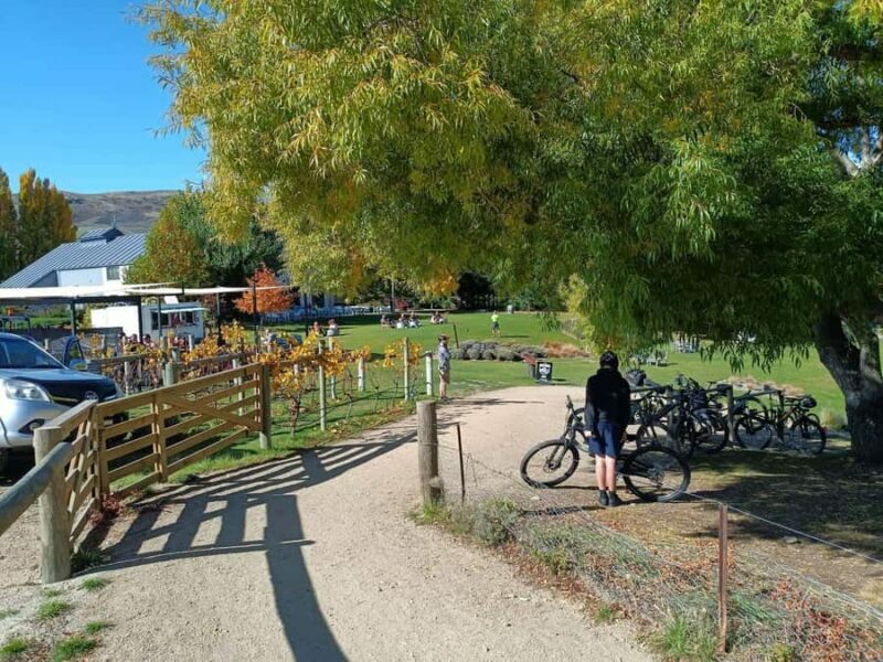 From Wanaka - Bike the Dunstan Trail with shuttle return - Discovering the Dunstan Trail: An Overview