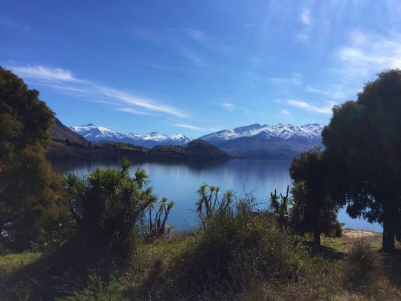 From Wanaka: Ruby Island 1-Hour Cruise and Photo Walk - Customer Reviews