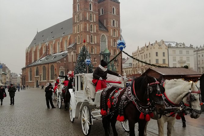 From Warsaw Auschwitz and Krakow One Day Tour by Train With Pick up and Drop off - Meeting and Drop-off Point