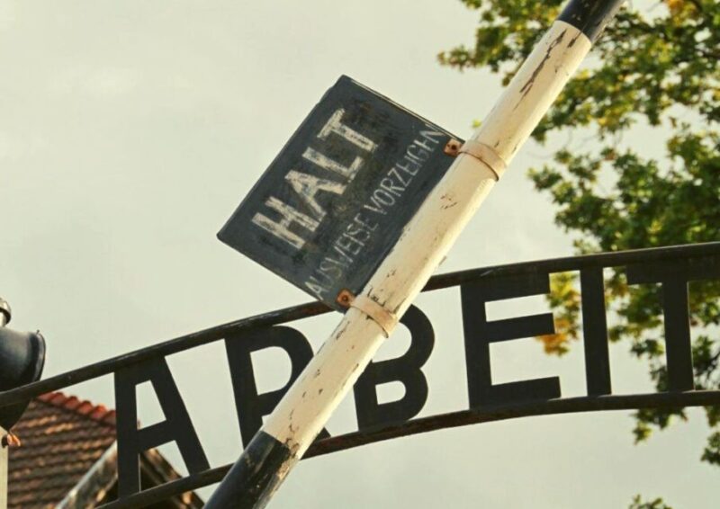 From Warsaw: Auschwitz-Birkenau Small Group Tour With Lunch - Experience Highlights