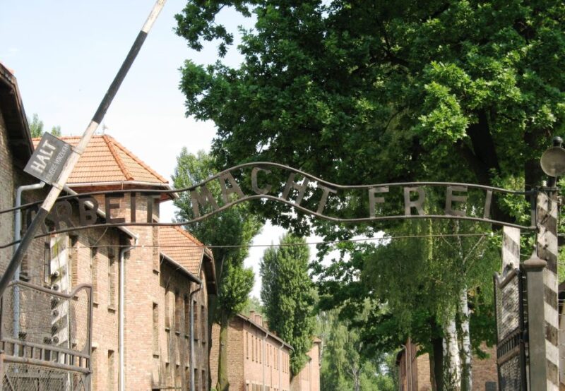 From Warsaw: Auschwitz-Birkenau Small Group Tour With Lunch - Inclusions and Accessibility