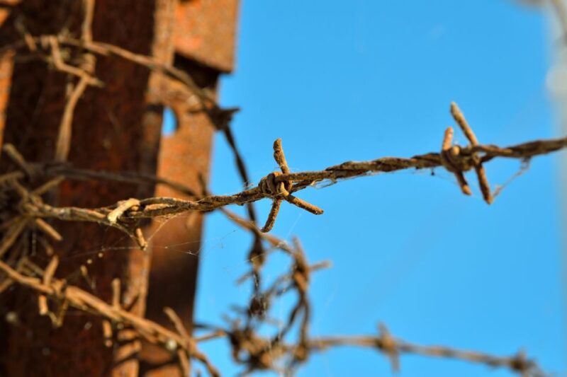 From Warsaw: Auschwitz-Birkenau Tour by Car - Inclusions and Logistics