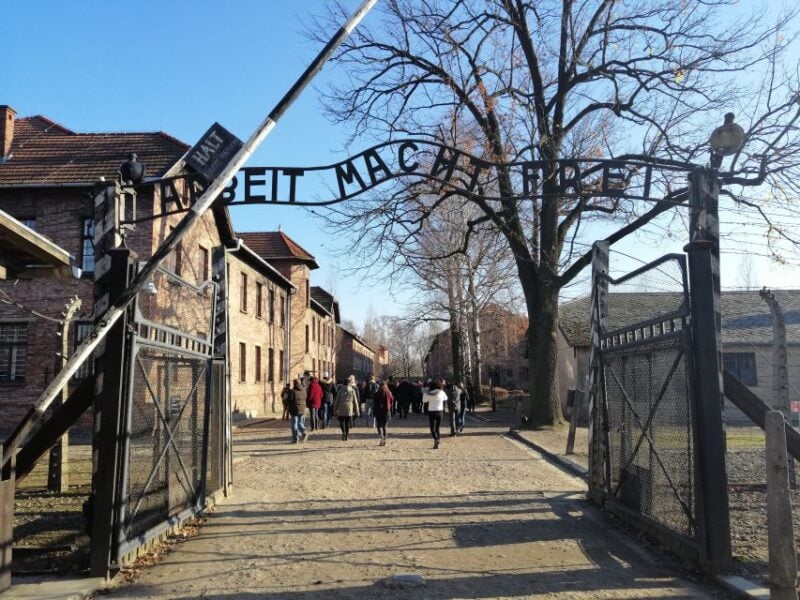 From Warsaw: Auschwitz-Birkenau Tour by Car - Important Considerations