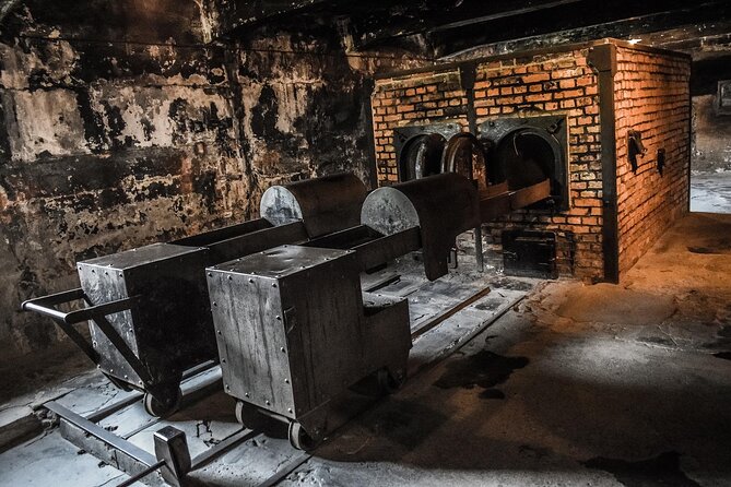 From Warsaw: Auschwitz-Birkenau Tour With Premium Train Transportation - Traveler Reviews and Feedback