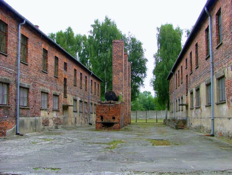 From Warsaw: Full Day Guided Trip to Auschwitz-Birkenau - Experience and Highlights