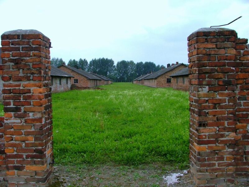 From Warsaw: Full Day Guided Trip to Auschwitz-Birkenau - What to Bring and Policies