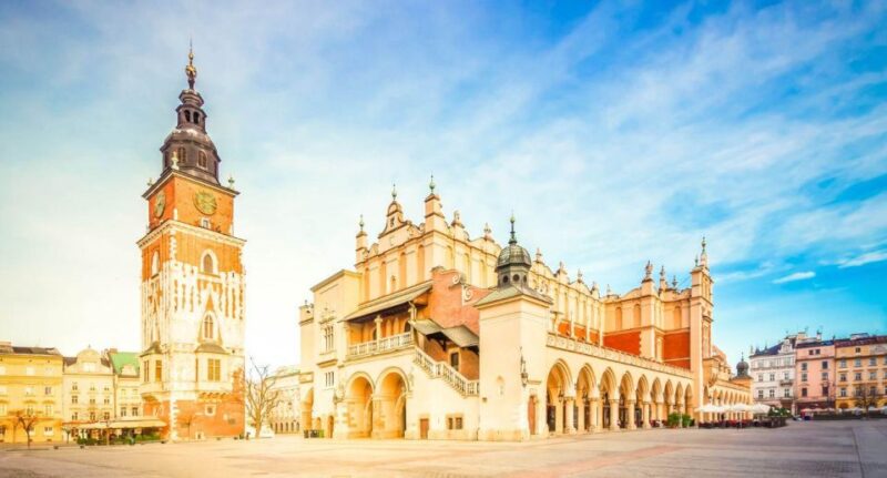 From Warsaw: Guided Tour to Auschwitz-Birkenau and Krakow - Inclusions and Requirements