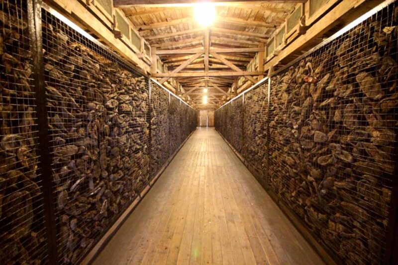 From Warsaw: Private Day Trip to Lublin and Majdanek Camp - Key Points