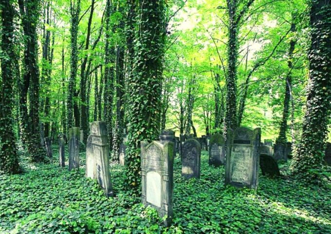 From Warsaw: Small-Group Tour to Lodz With Lunch - Pricing and Cancellation