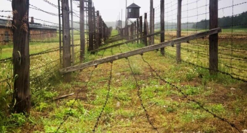 From Warsaw: Tour to Majdanek Concentration Camp and Lublin - Lublins Old Town