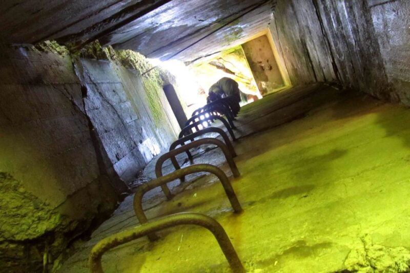 From Warsaw: Wolfs Lair Hitlers Headquarters Full-Day Tour - Participant Requirements