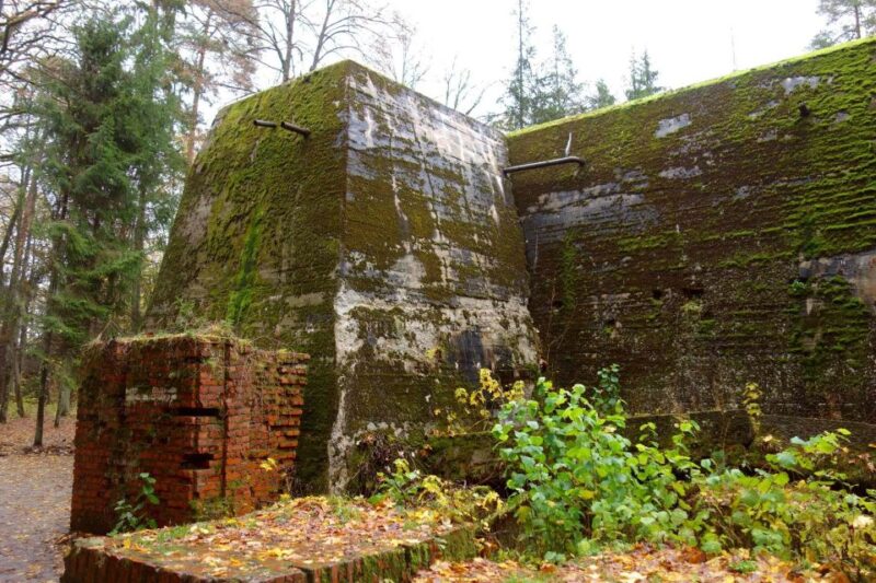 From Warsaw: Wolfs Lair Hitlers Headquarters Full-Day Tour - Customer Feedback