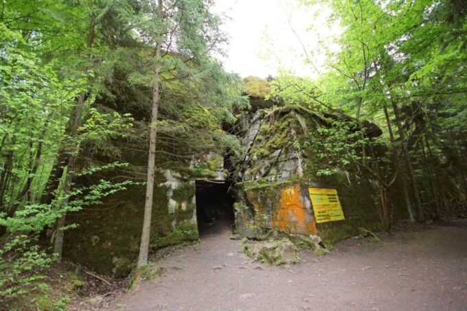 From Warsaw: Wolfs Lair Hitlers Headquarters Full-Day Tour - Drive to Wolfs Lair