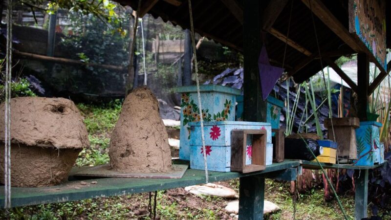From Waterfall Trails to Agroecology Farm Cooking Workshop - Sustainable Farming Practices