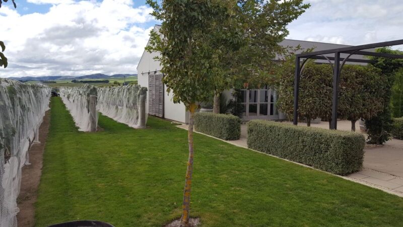 From Wellington: Half-Day Foodie Tour of the Wairarapa - Key Points