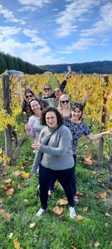 From Wellington: Martinborough Winery Tour - Introduction