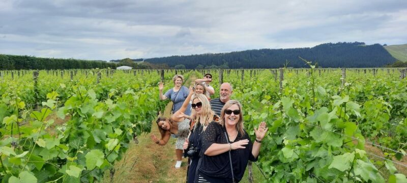 From Wellington: Martinborough Winery Tour - Wineries and Tastings: A Curated Experience