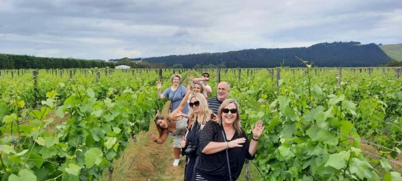 From Wellington: Martinborough Winery Tour - Overall Value and Practicalities