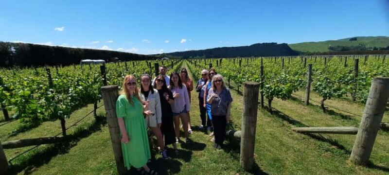 From Wellington: Martinborough Winery Tour - Who Should Consider This Tour?