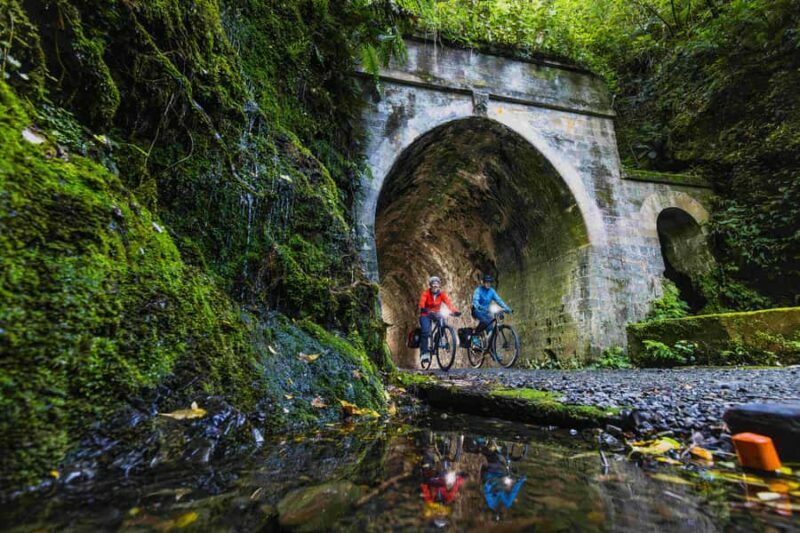 From Wellington: Remutaka Rail Trail eBike Tour - Key Points