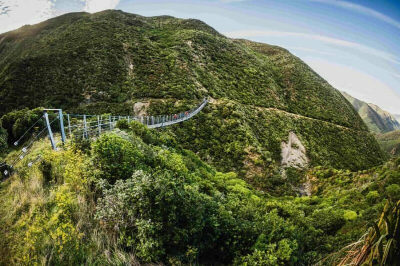 From Wellington: Remutaka Rail Trail eBike Tour - Who Is This Tour For?