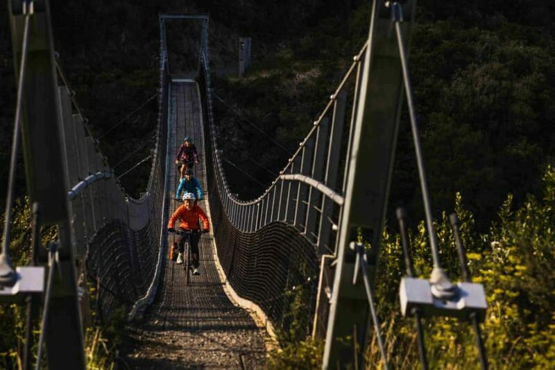 From Wellington: Remutaka Rail Trail eBike Tour - Final Thoughts