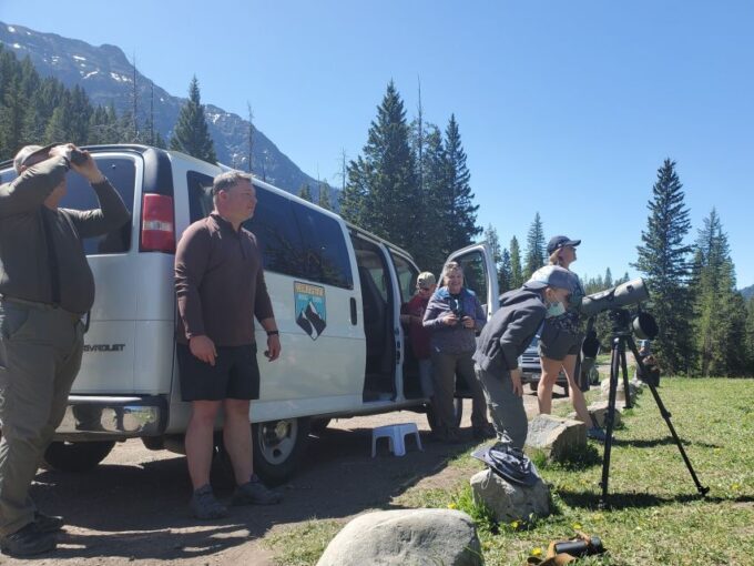 From West Yellowstone: Lamar Valley Wildlife Tour by Van - Scenery and Wildlife
