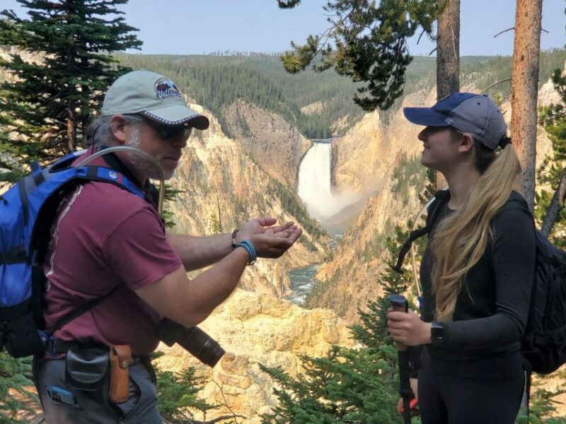 From West Yellowstone: Lower Loop Active Van Tour - Participant Information