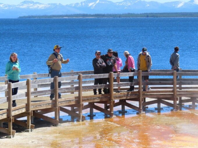 From West Yellowstone: Lower Loop Active Van Tour - Price and Cancellation
