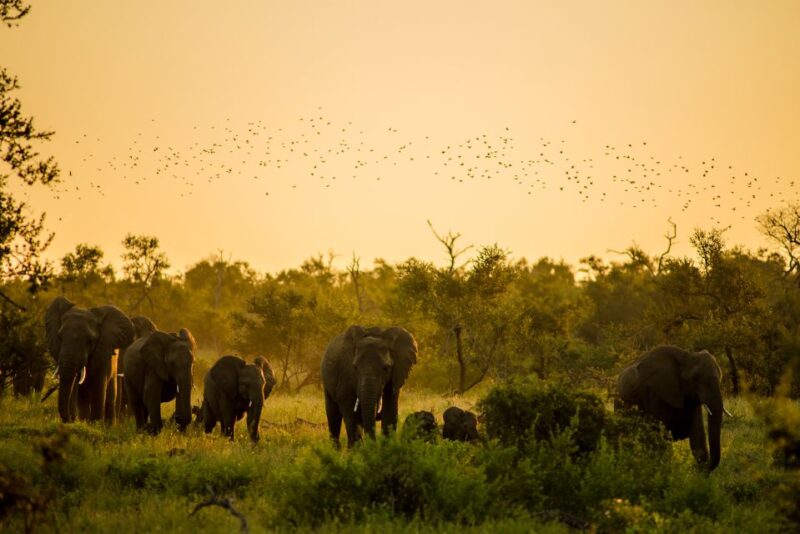 From Western Province: 2-Day Hill Country Highlights Trip - Customer Feedback