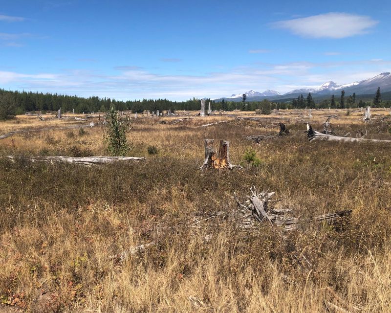 From Whitefish: Glacier National Park & Polebridge Day Tour - Included Features