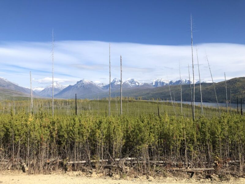 From Whitefish: Glacier National Park & Polebridge Day Tour - Pickup and Transportation