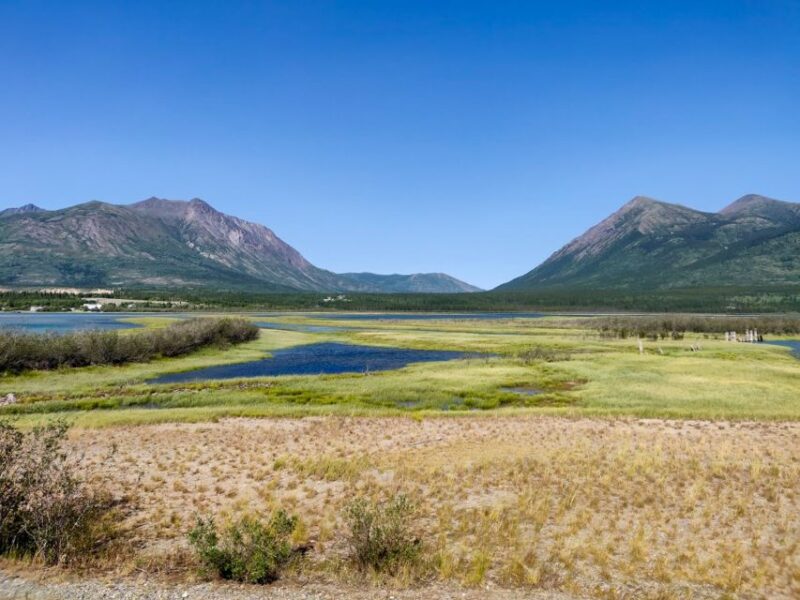 From Whitehorse: Skagway Day-Trip - Itinerary Highlights