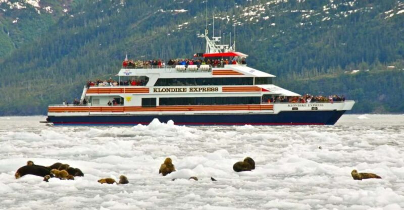 From Whittier/Anchorage: Prince William Sound Glacier Cruise - Experience and Highlights
