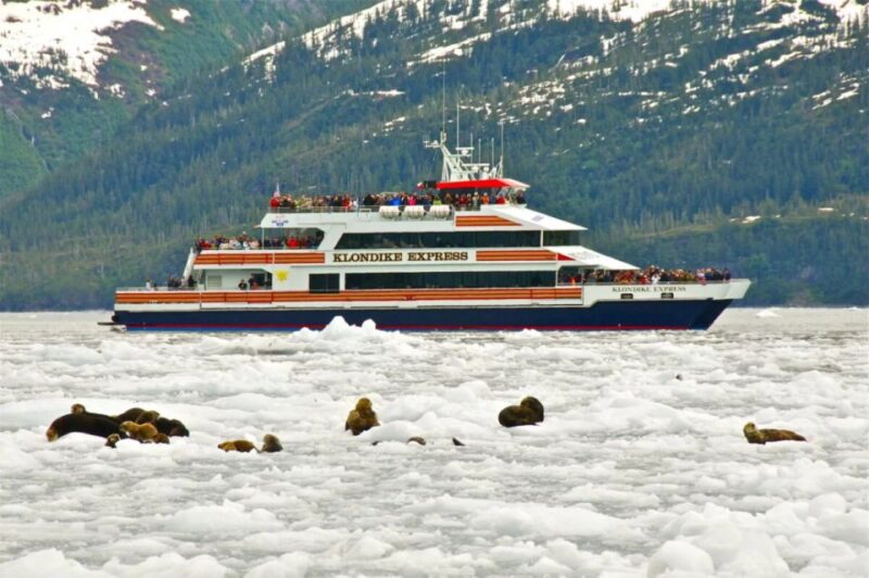 From Whittier/Anchorage: Prince William Sound Glacier Cruise - Amenities and Inclusions