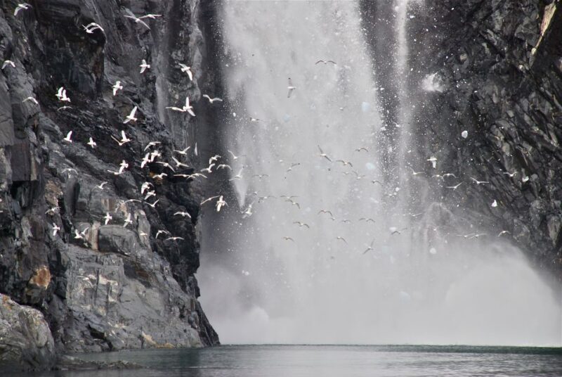 From Whittier: Glacier Quest Cruise With Onboard Lunch - Onboard Amenities and Restrictions