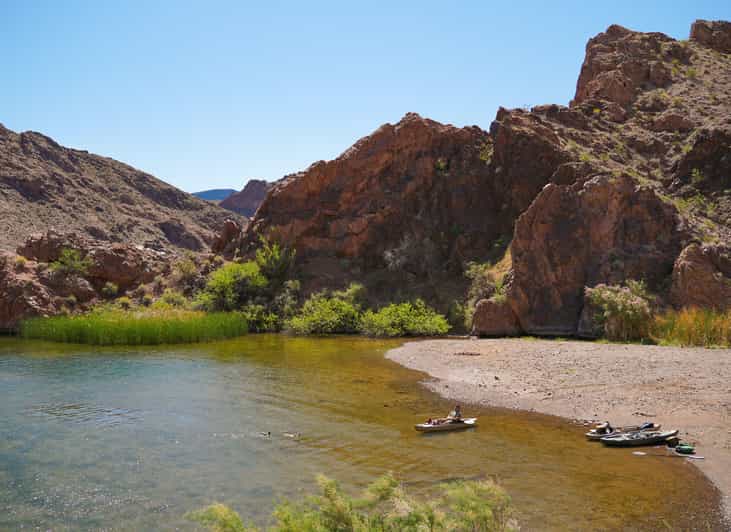 From Willow Beach: Half-Day Black Canyon Narrows Kayak Tour - Experience and Wildlife