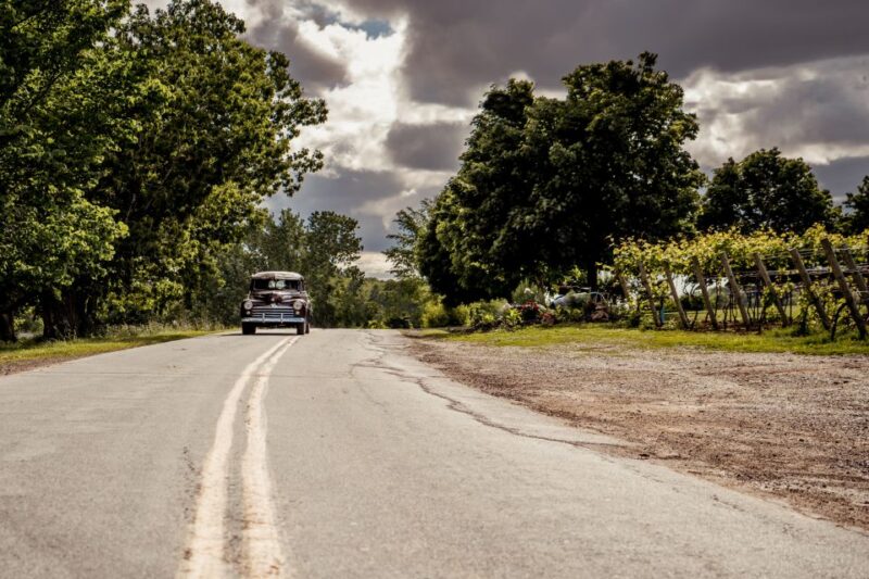 From Wolfville: Nova Scotia Wine Region Vintage Car Tour - Included Services